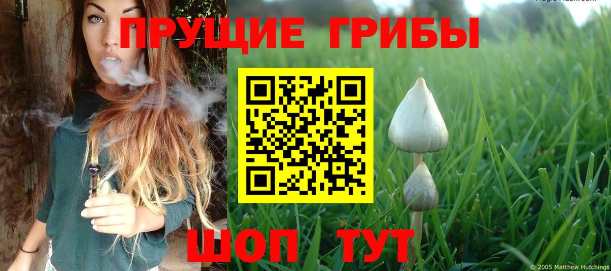 Касимов  Псилоцибиновые грибы Cubensis  Галлюциногенные грибы GOLDEN TEACHER  Вход с VPN 