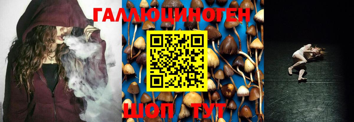 Псилоцибиновые грибы прущие грибы Касимов